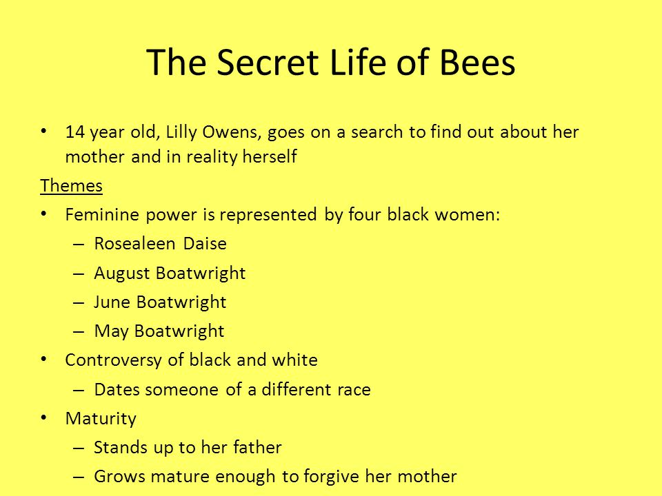 Secret life of bees sample essay